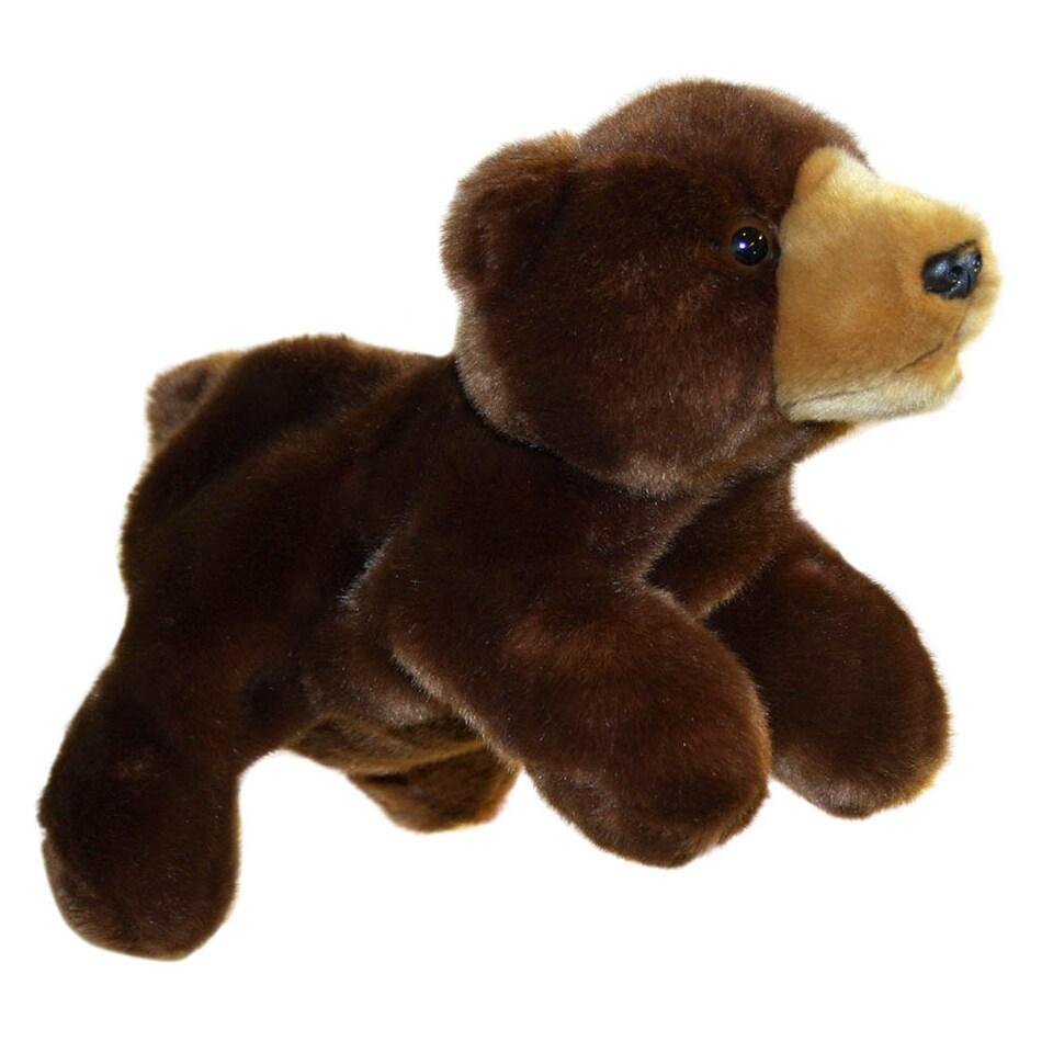 image 1 of Bear - Full-Bodied