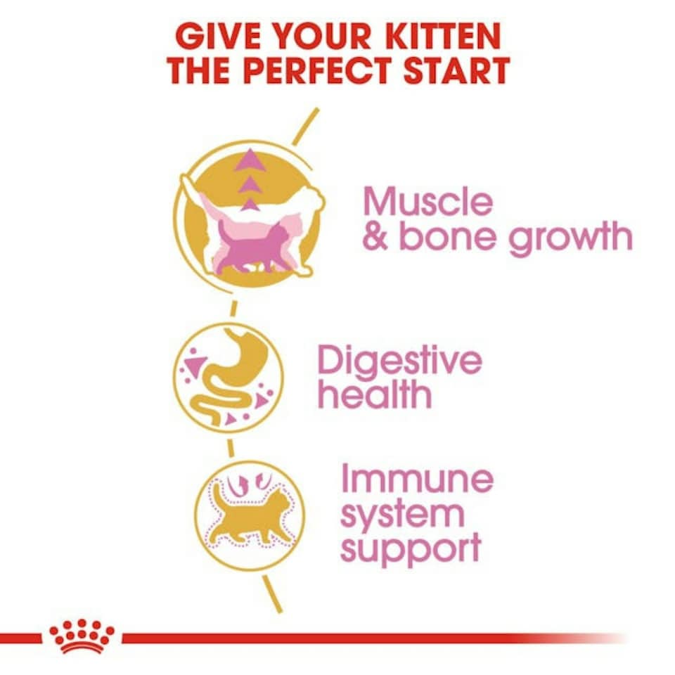image 1 of Royal Canin Cat British Shorthair Kitten 10KG