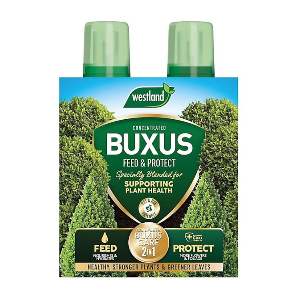 image 1 of Westland Buxus Feed & Protect 2 in 1 - 2 x 500ml | Clear | 1 x Duo Pack | 2
