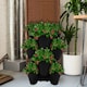 image 2 of Trio Stackable Stacking Strawberry Planter Plant Flower Pot Herb Garden Patio UK Black