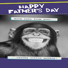 Quitting Hollywood Happy Father's Day From Your Cheeky Little Monkey!