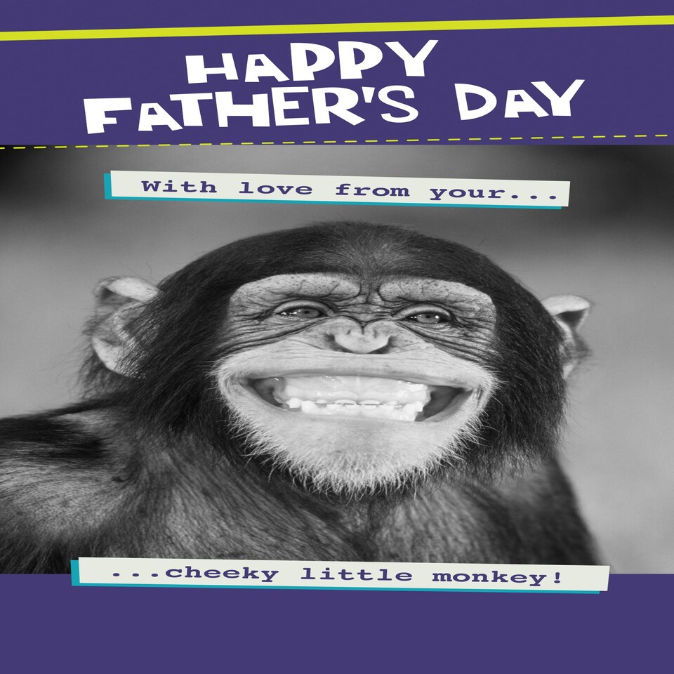 image 1 of Quitting Hollywood Happy Father's Day From Your Cheeky Little Monkey!