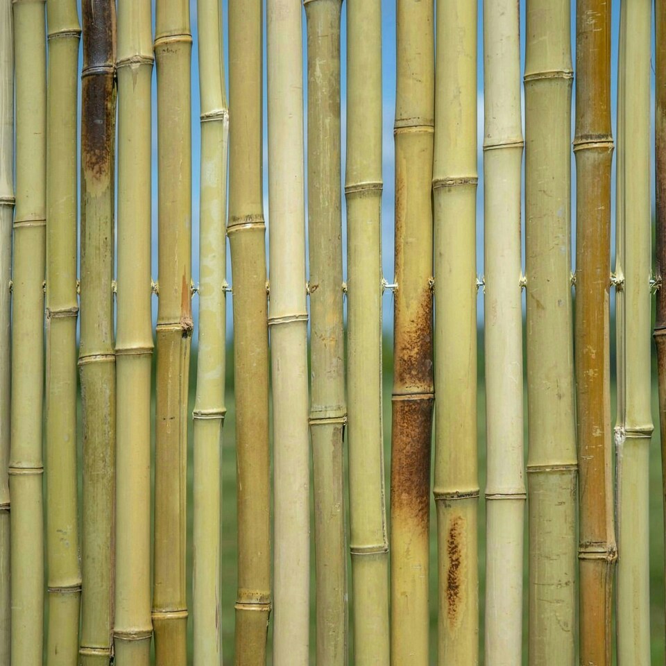 image 1 of Primrose Outdoor Split Hazel Fencing Roll Garden Patio Border 1.2m x 3m