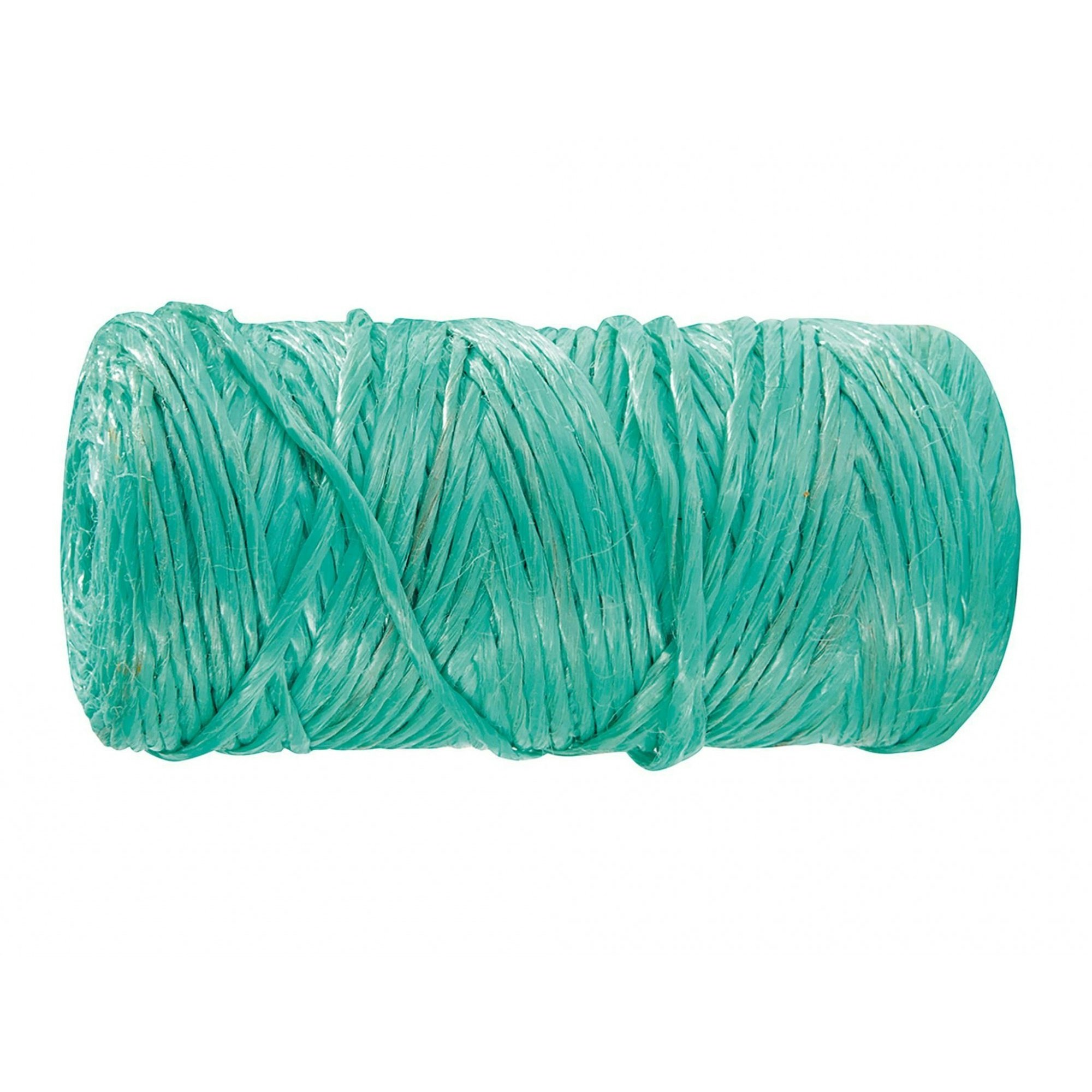 Gardman Rot Resistant Twine 100g - Multi Colour - One Size