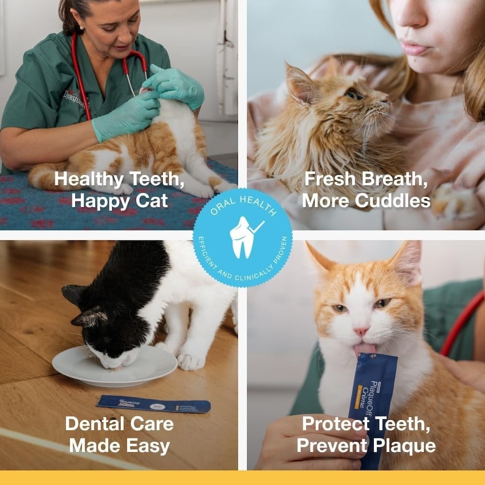 image 1 of ProDen PlaqueOff Crème for Cats - 6 Chicken Flavour Pouches