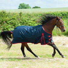 Gallop Equestrian Trojan 200 Standard Turnout Red | Size: 5ft 6
Colour: Navy/Red