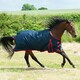 image 1 of Gallop Equestrian Trojan 200 Standard Turnout Red | Size: 5ft 6
Colour: Navy/Red