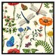 image 1 of Flowers & insects (Picture Frame) Black | XS