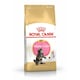 image 2 of Royal Canin Cat Maine Coon Kitten 4KG
