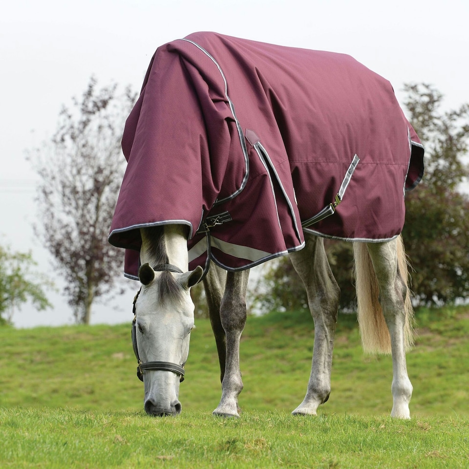 image 1 of Weatherbeeta Comfitec Plus Dynamic II Detachable Neck Lightweight Horse Turnout Rug - Maroon/Grey/White - 7´