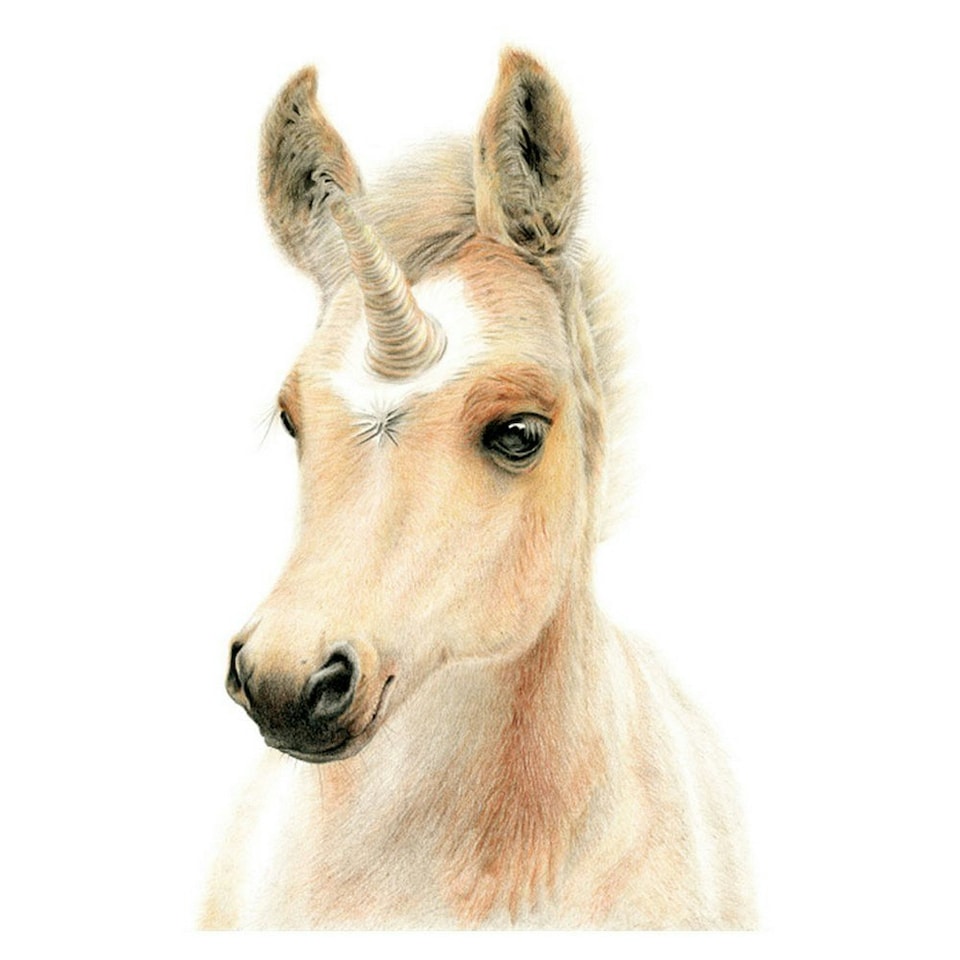 Deckled Edge Eureka Card - Uni-Foal - One Size