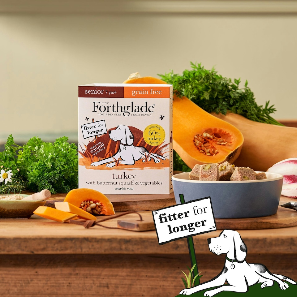 image 1 of Senior Turkey & Butternut Squash Wet Dog Food (18x395g)