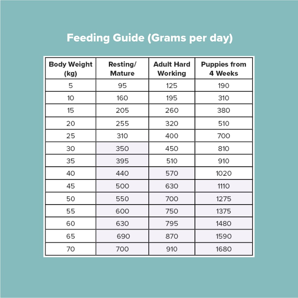image 1 of Pero Cold Pressed Dog Food - Turkey Gastro | Brown | 2kg | Turkey | 1