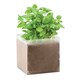 image 1 of MidOcean Basil Basil Seeds | Brown | Beige | One Size | 1