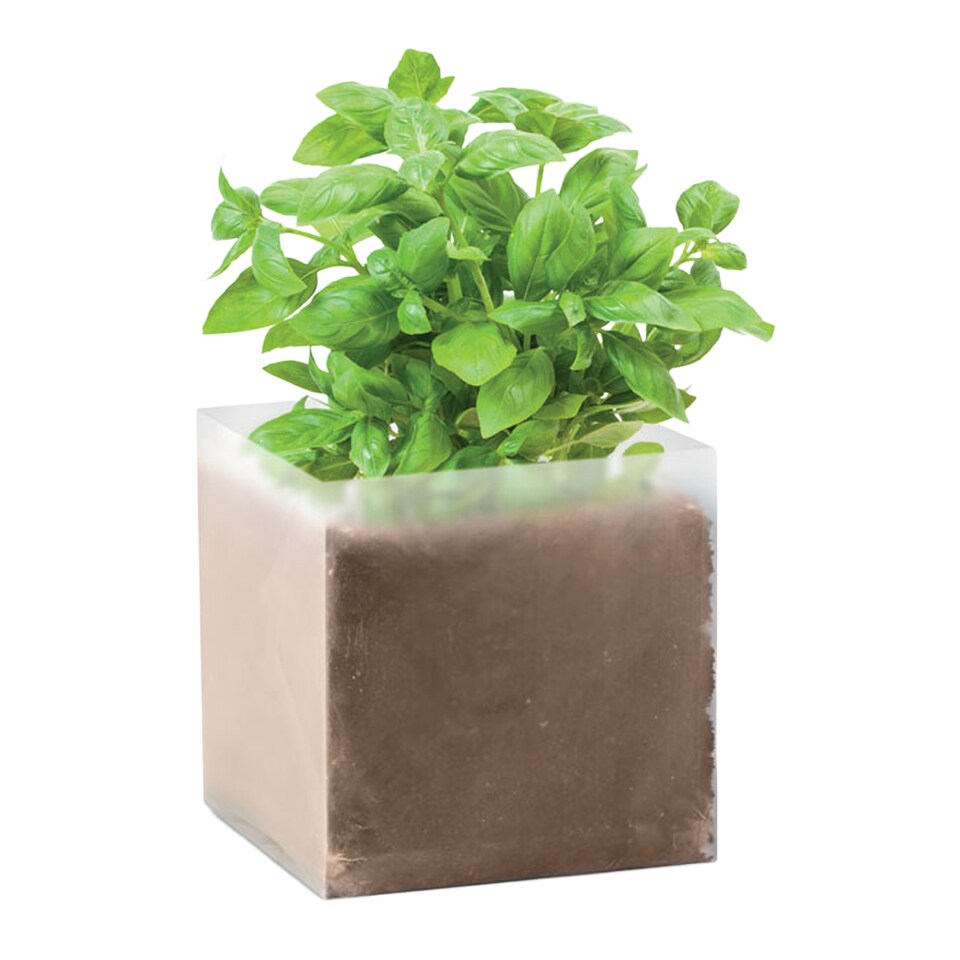image 1 of MidOcean Basil Basil Seeds | Brown | Beige | One Size | 1