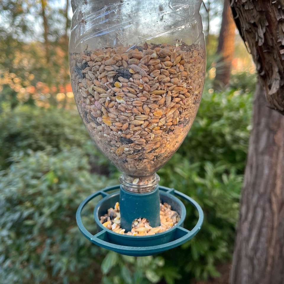 image 1 of Bottle Top Bird Seed Feeders (Set of 3)