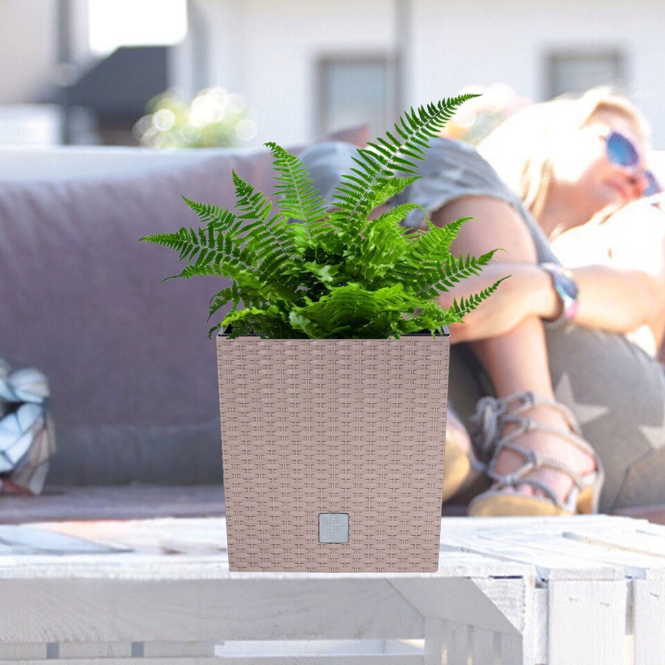 image 1 of 20cm Rato Rattan Design Plant Pots Square -1-2 Pack | Cream | Beige & Set of 1 | 1