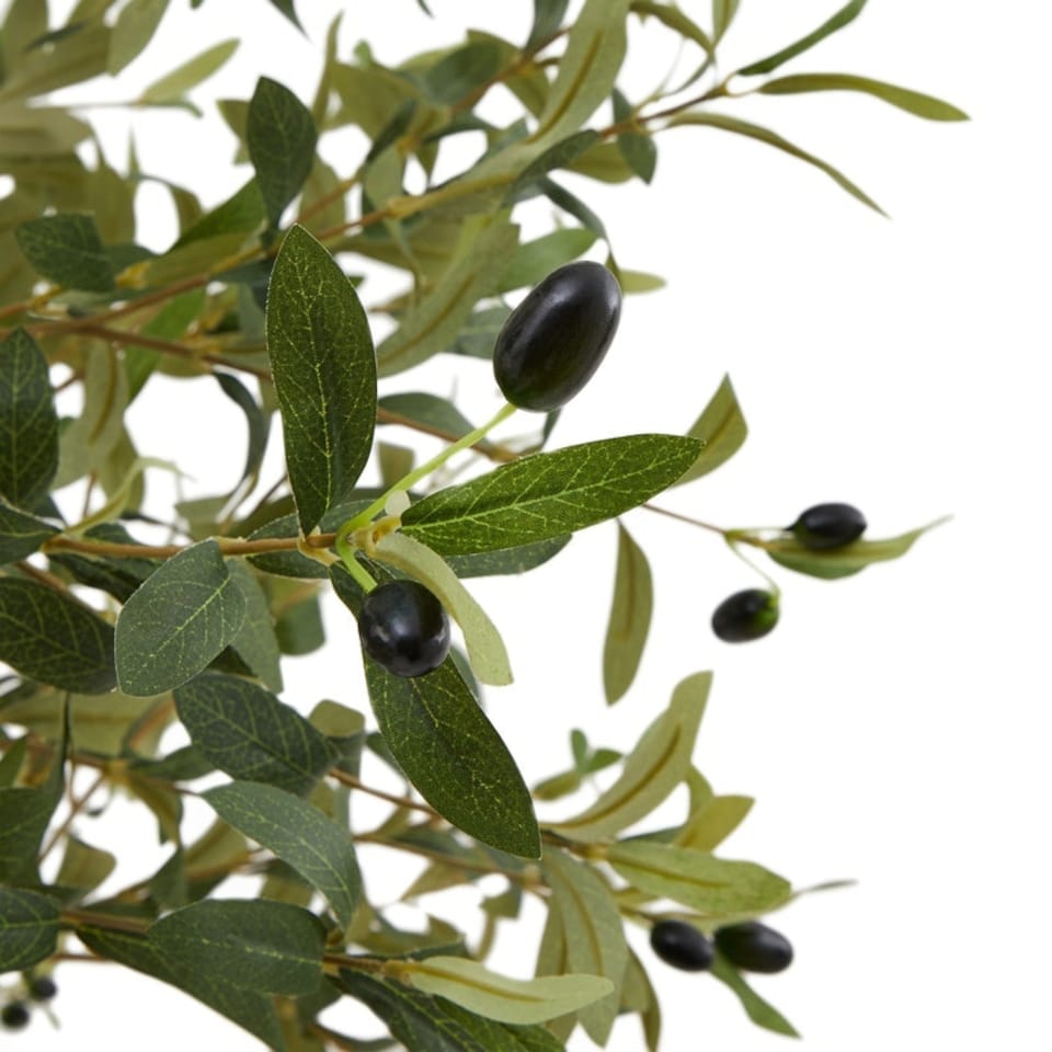image 1 of Calabria Small Olive Tree - Plastic - L17 x W17 x H100 cm - Green