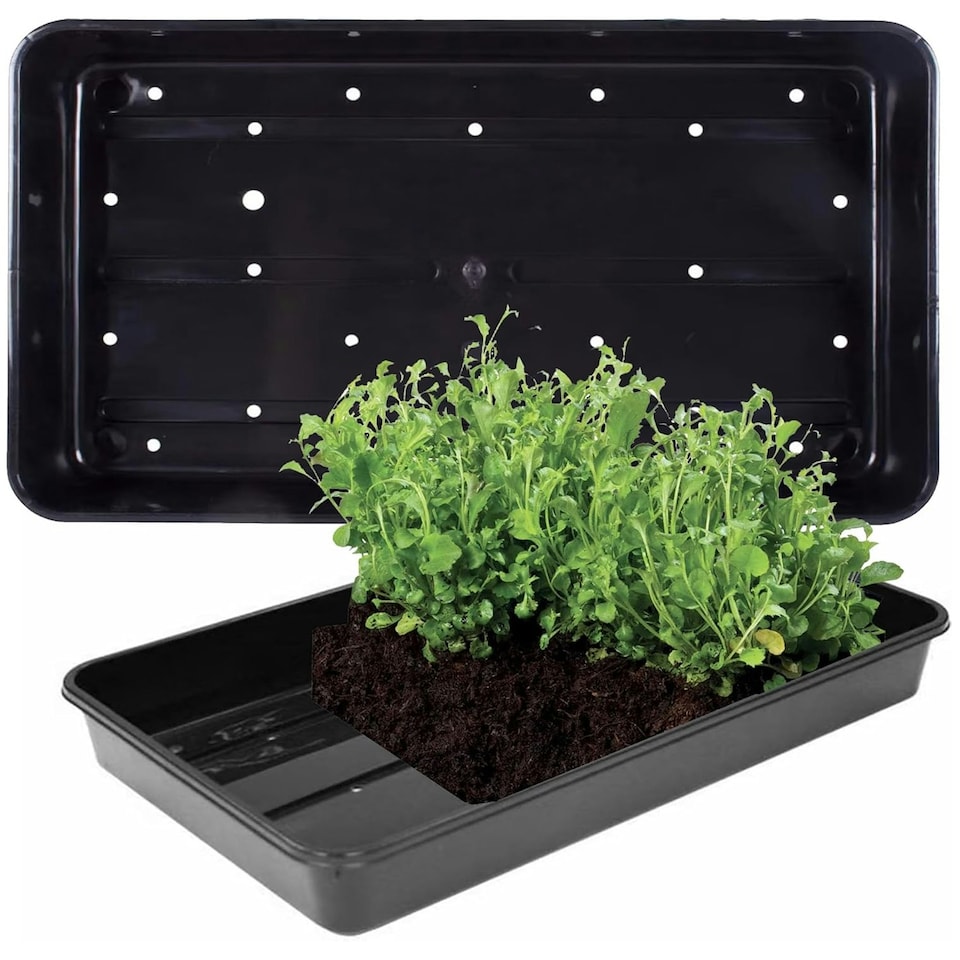 image 1 of 12 x Plastic Heavy Duty Seed Trays With Strong Rim For Extra Rigidity Ideal For Gardens & Greenhouse