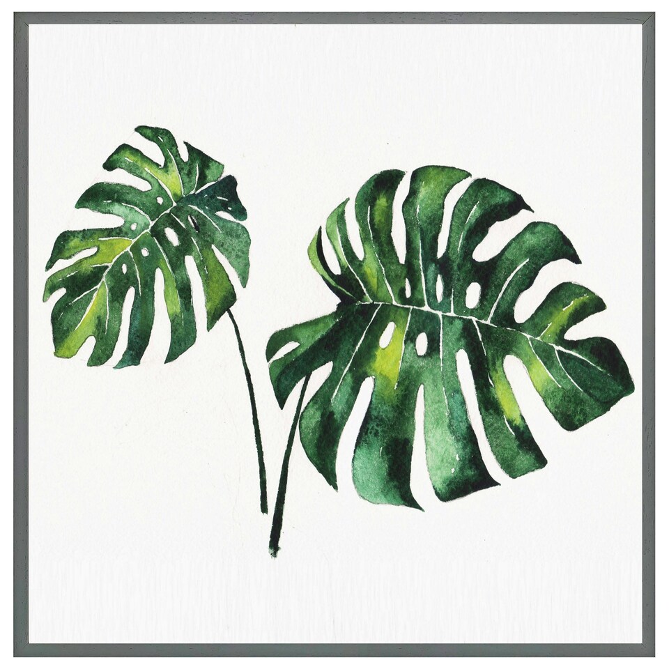 image 1 of Twin tropical leaves (Picutre Frame) Grey | L