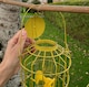 image 5 of Squirrel Proof Hanging Bird Seed Feeder (Set of 2)