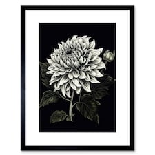 Elegant White Black Dahlia Flower Bloom 9x7" Black Framed Wall Art Print
