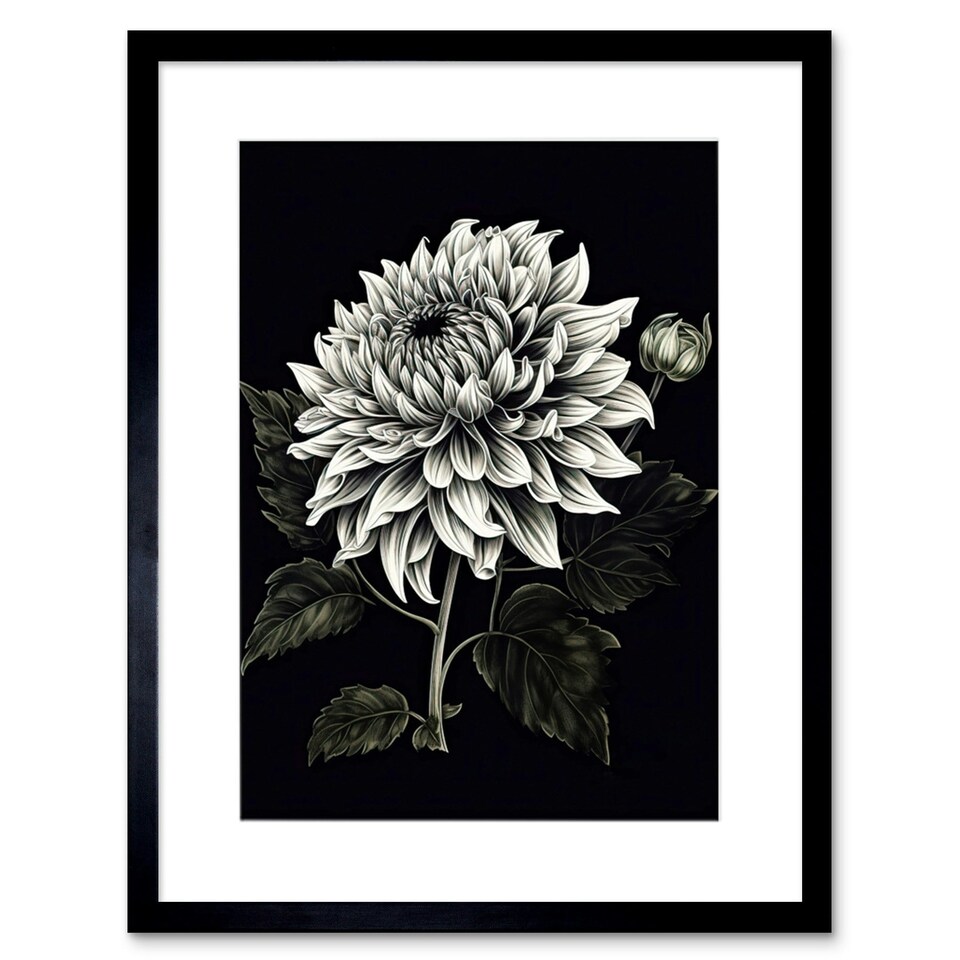 image 1 of Elegant White Black Dahlia Flower Bloom 9x7" Black Framed Wall Art Print