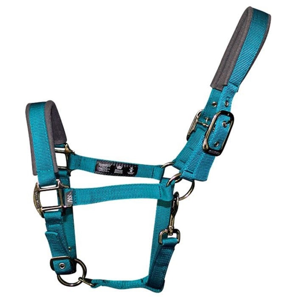 image 1 of Woof Wear Contour Head Collar Blue | Size: Cob
Colour: Shiraz/Navy