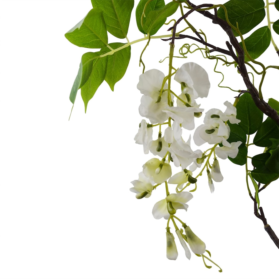 image 1 of 90cm Artificial White Wisteria Bush