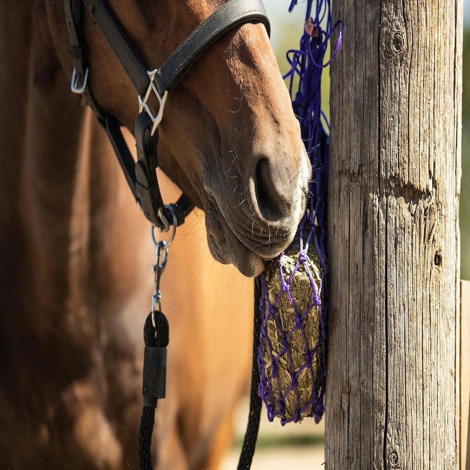 image 1 of Equilibrium Munch Hay Net - Purple