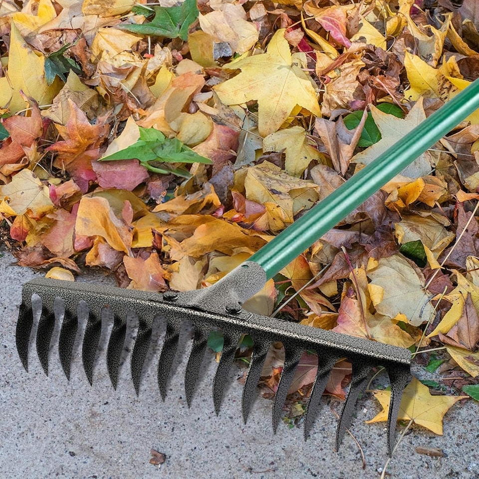 image 1 of 14 Tooth Teeth Emergency Replacement Rake Head Garden Lawn Leaf Raking