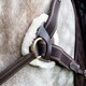 image 4 of Shires Salisbury Five Point Breastplate Brown | Size: X-Full
Colour: H.Brown