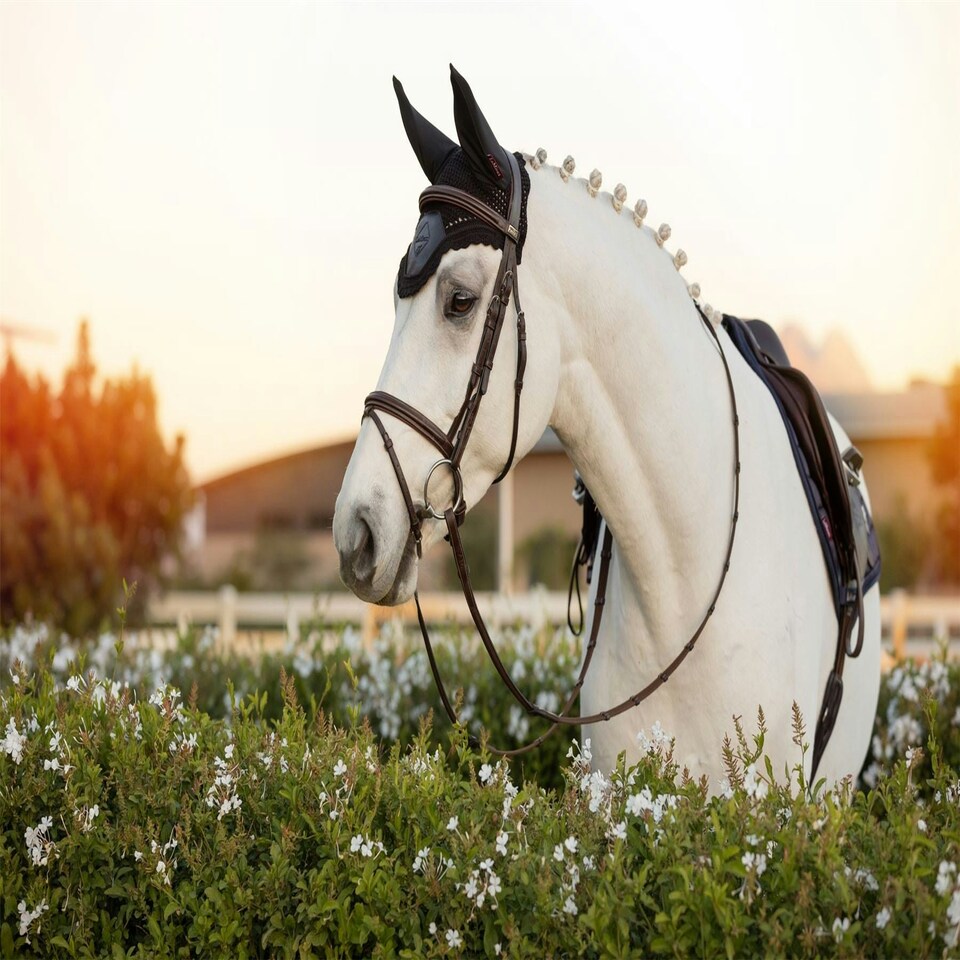 image 1 of LeMieux Elite Fly Hood Blue | Medium