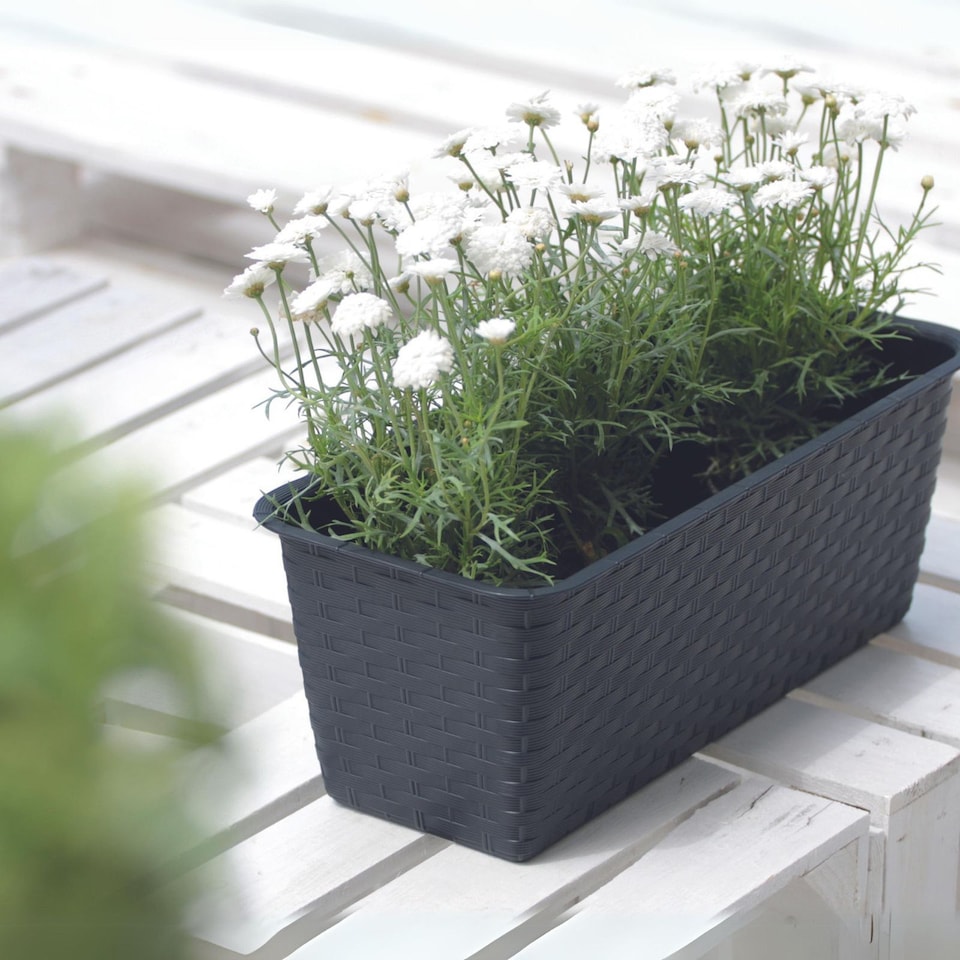 image 1 of Ratolla Rattan Balcony Planter - 14.5x48.9x17.3 cm | Black | Black & Set of 1 | 1