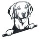 image 5 of Black Metal Peeking Retriever Silhouette with Fixing Plate Garden Ornament Gift