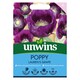 image 1 of Poppy Laurens Grape | Multi | Purple | Flower Seeds | 1