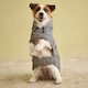 image 6 of Joules Henson Check Medium Packaway Dog Jacket