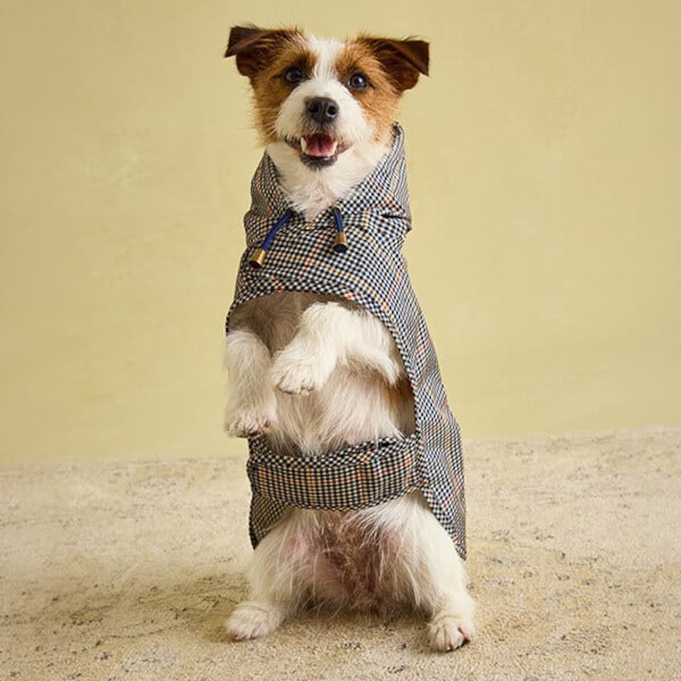 image 1 of Joules Henson Check Medium Packaway Dog Jacket