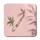 image 1 of Botanical leaf on pink (Coaster)