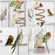 image 4 of Yaheetech 175.5 cm Tall Extra Large Pet Cage for Small Animals White