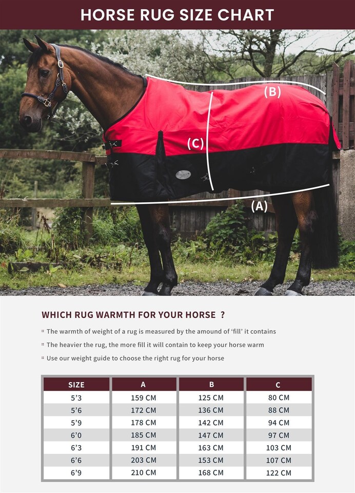 image 1 of eQuitack 600D Waterproof Horse Turnout Rug 0g No Fill Regular Neck Lavender/Purple 6'0''