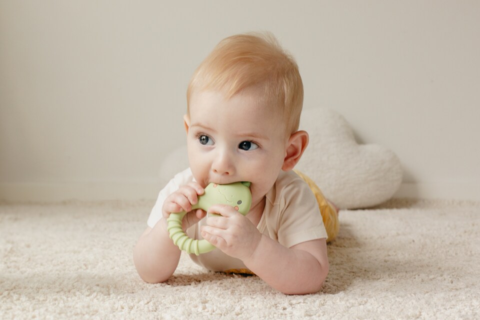 image 1 of Silicone Teether - Dino