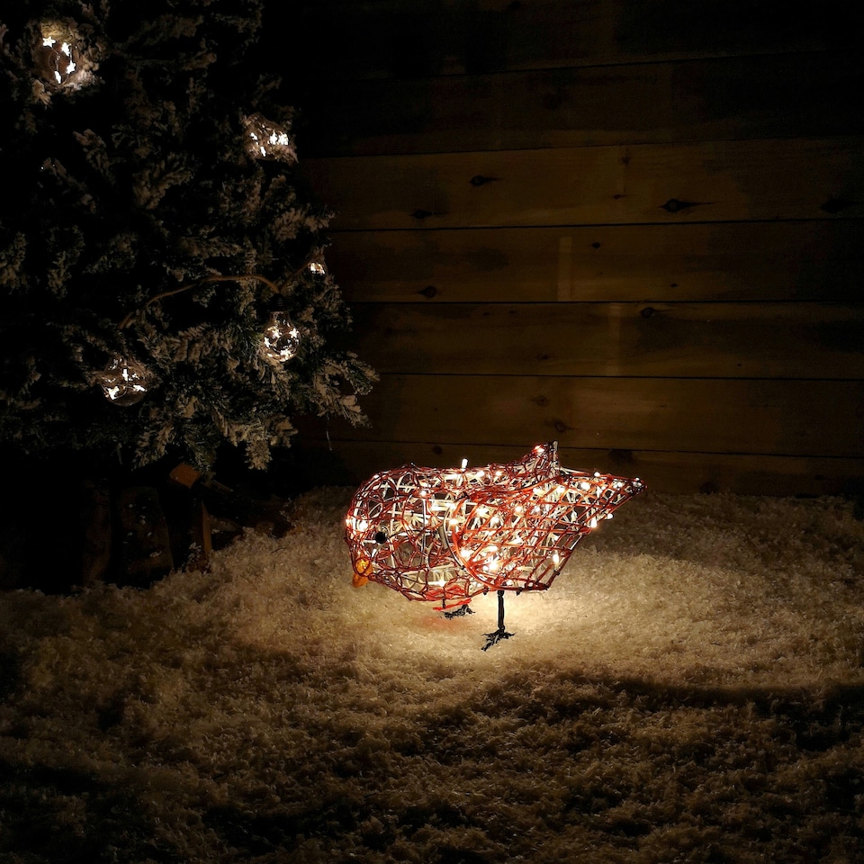 image 1 of 30cm Premier Soft Acrylic Outdoor Lit Christmas Robin with 60 Warm White LEDs