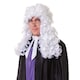 image 2 of Bristol Novelty Unisex Judge Wig - White - One Size One Size