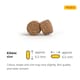image 6 of Josera Mother & Puppy Salmon & Rice | Pregnant & nursing mothers | Weaning puppies | Soakable small kibble | Optimal development | Gluten free | 12.5kg