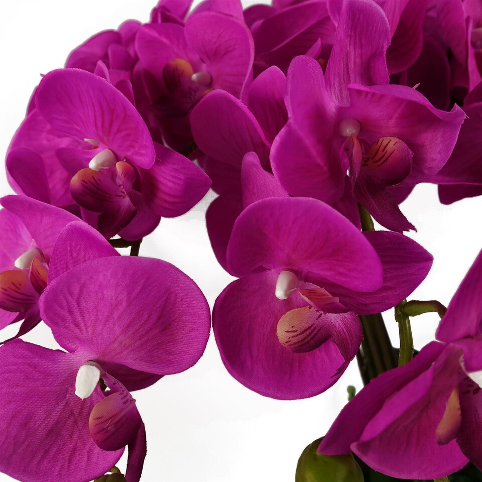 image 1 of 85cm Artificial Deluxe XL Orchid - Dark Pink