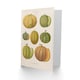 image 2 of Ernst Benary Art Card Melon Varieties Vintage Illustration