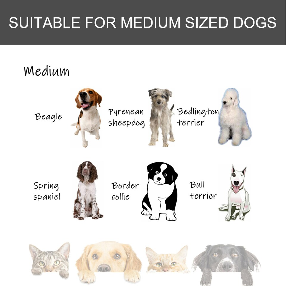 image 1 of PawHut 69.5x94cm Metal Dog Cage Kennel w/ Locking Door & Wheels Medium Pets