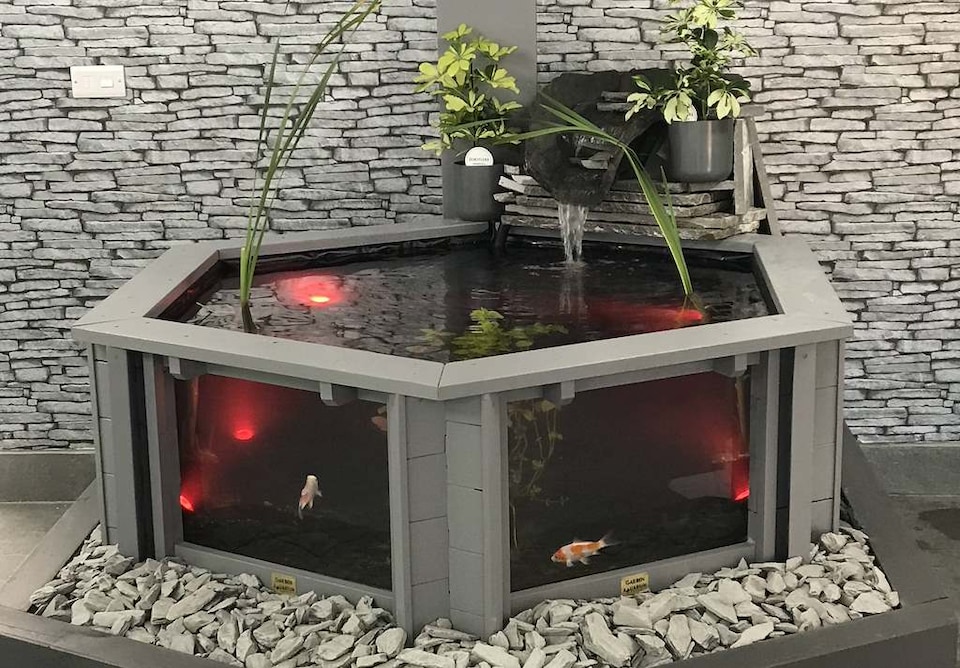 image 1 of Raised hexagon pond with large windows Lily Clear View Garden Aquarium in Seagrass Green