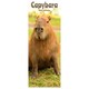 image 1 of Capybara Slim 2026 Calendar | Slimline Wall Calendar | Animal Gift | Plastic Free Packaging | by Avonside Publishing [Calendar] Avonside Publishing Ltd